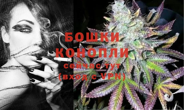 гидра Нефтекумск