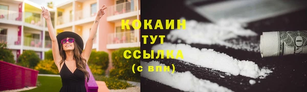 мет Новозыбков