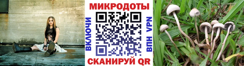 купить закладку  Ишимбай  Галлюциногенные грибы Magic Shrooms 